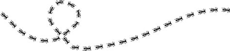 Ant trail illustration. Insect path to the home. 28193491 Vector Art at ...