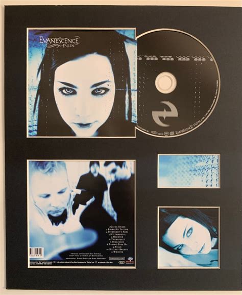 とみなされ Evanescence - Fallen (Limited Edition, Silver Vinyl LP) - NEW ...