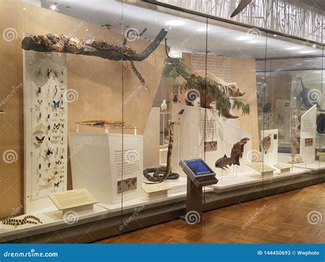 Royal Ontario Museum Exhibits Editorial Stock Photo - Image of history ...