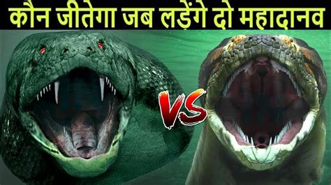 Titanoboa Vs Anaconda कौन जीतेगा इन दानवों में से ? - YouTube