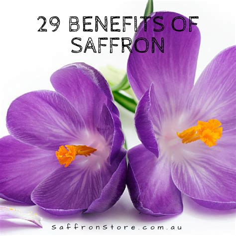 29 Benefits of Saffron