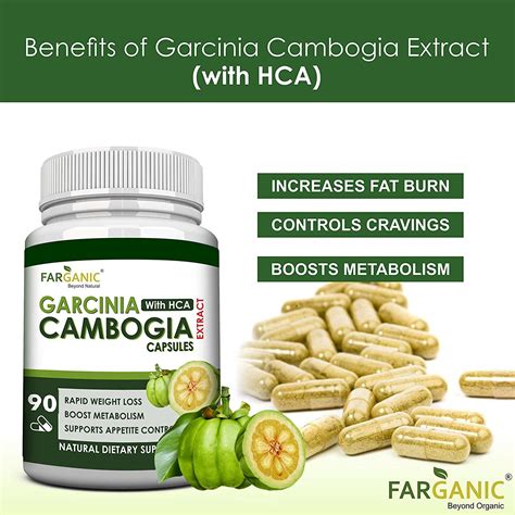 Farganic Garcinia Cambogia Extract Capsule with HCA for Weight Loss ...