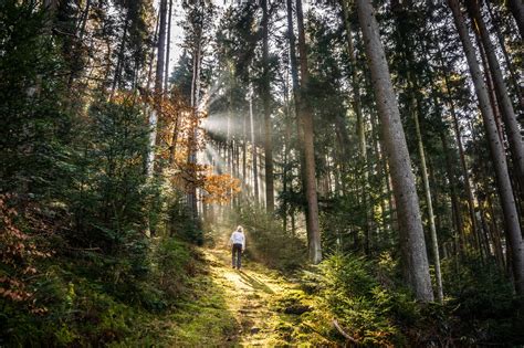 The 10 best Hikes in the Northern Black Forest