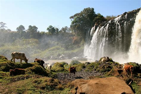 The Grand Ethiopian Renaissance Dam is a Big Deal - BORGEN