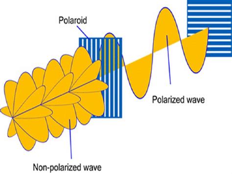 Polarization of Light Examples in Daily Life – StudiousGuy