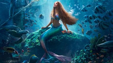 #NotMyAriel: Disney's Black Ariel Faces Global Backlash - Hindustan Times