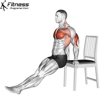 How To Do Chair Dips | Muscles Worked And Benefits