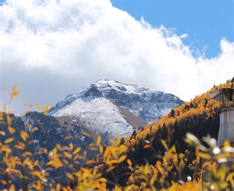 Telluride : r/Colorado