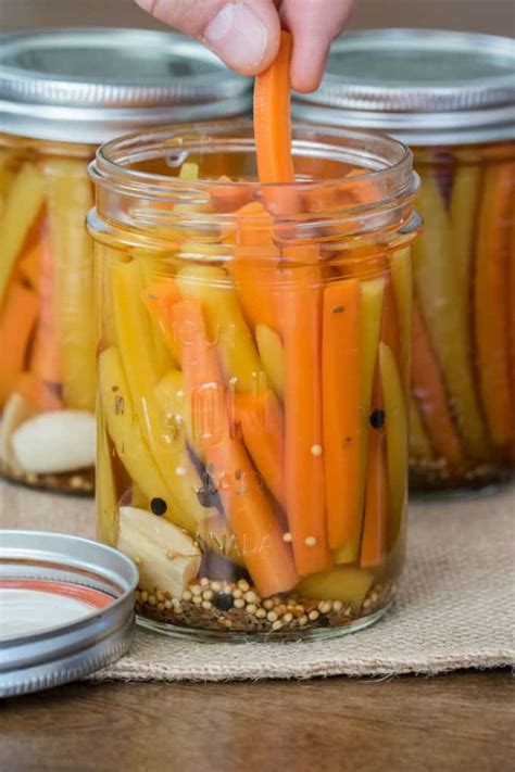 Easy Pickled Carrots are simple to do once you understand canning