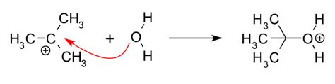 Difference Between Electrophile and Nucleophile | Definition ...