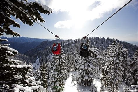 Soar Above Lush Forests On Grouse Mountain's Zipline Adventure