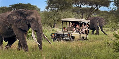 Tanzania Safari and Zanzibar Holiday 13 Days - Adventure Makers