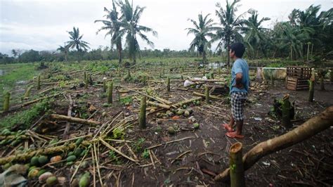 Typhoon Ulysses agricultural damage nears P1 billion