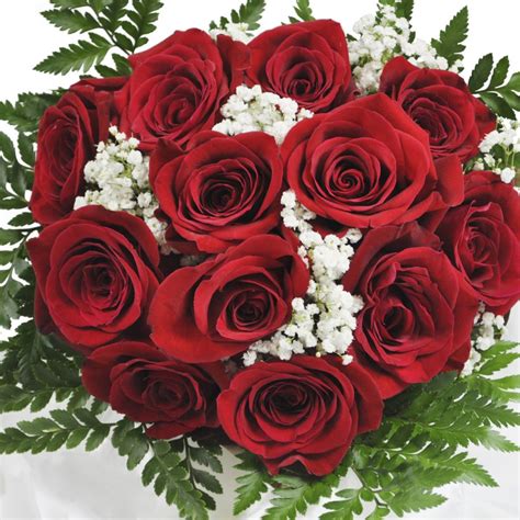 CLASSIC ONE DOZEN RED ROSE BOUQUET - Cranbury Fields