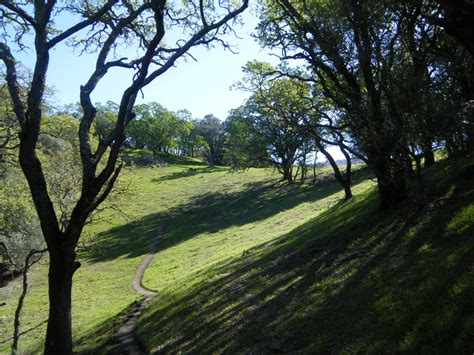 Hole 4 • Skyline Wilderness Park (Napa, CA) | Disc Golf Courses | Disc ...