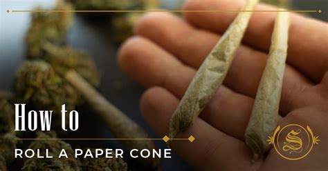 How To Roll A Cone: 4 Steps To Do It Within Seconds! - The Sanctuary