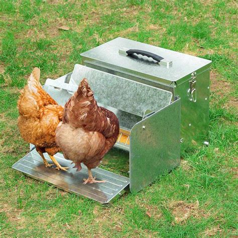 Standard Automatic Chicken Feeder Grandpas Feeders ...