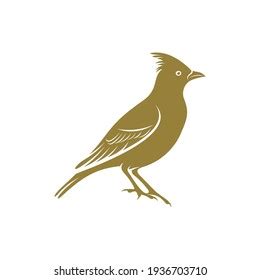 Lark Bird Design Vector Illustration Creative Stock Vector (Royalty ...