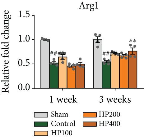 Harpagophytum procumbens (HP) attenuates inflammation by regulating ...