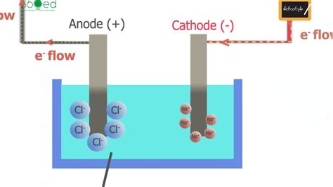 Molten Sodium Chloride Electrolysis