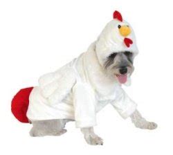 Amazon.com : HALLOWEEN CHICKEN COSTUME LARGE : Pet Costumes : Pet Supplies