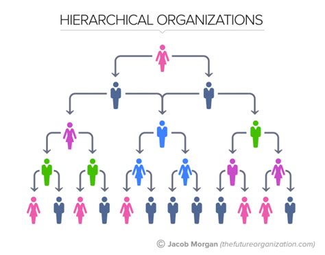 The 5 Types Of Organizational Structures: Part 1, The Hierarchy | by ...