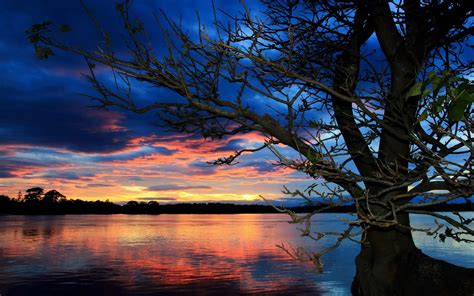 sunset, Trees, Lake Wallpapers HD / Desktop and Mobile Backgrounds