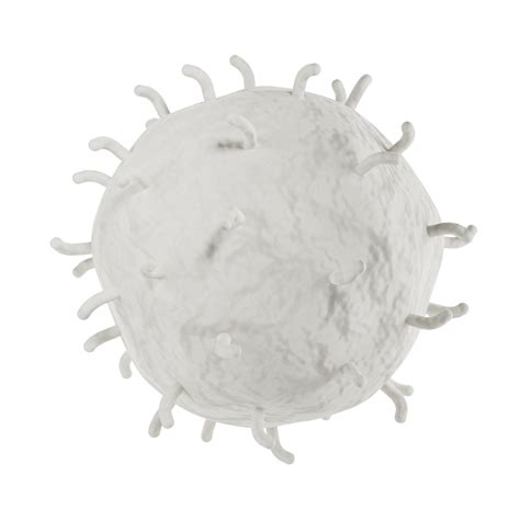 White blood cell 3d realistic icon analysis. Leukocytes medical ...