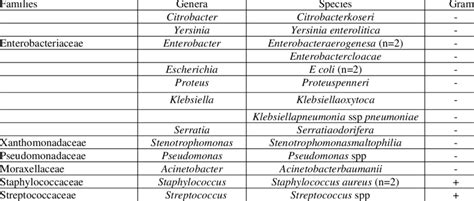 Families, genera, species and Gram strain of bacteria isolated from ...