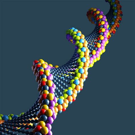 dna 3d model