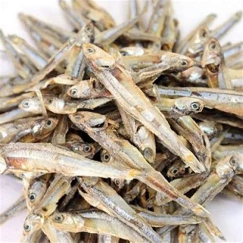 Dried Anchovy, Anchovy, Dried Fish at Rs 10/kg | Khanpur | New Delhi ...