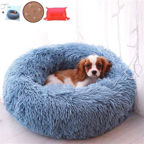 Best Waterproof Dog Beds: 2020 - Luxury Dog Gift