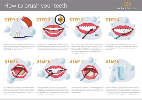 How to brush Your Teeth [INFOGRAPHIC] - Infographic Plaza