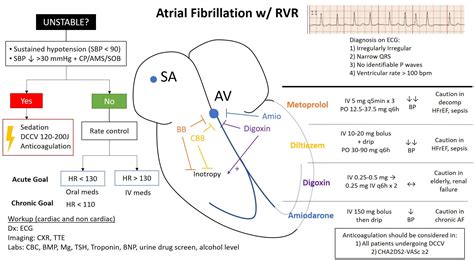 Management of Atrial Fibrillation with Rapid Ventricular Response - teachIM