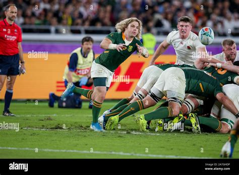 Kanagawa, Japan. 02 Nov 2019. Faf de Klerk of South Africa during the ...