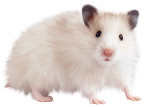 Mouse Animal (Mice) PNG Transparent Images