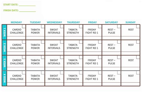 Focus T25 Alpha Beta Gamma Calendar