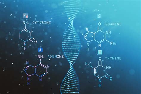 Biomathematics Research Centre | University of Canterbury