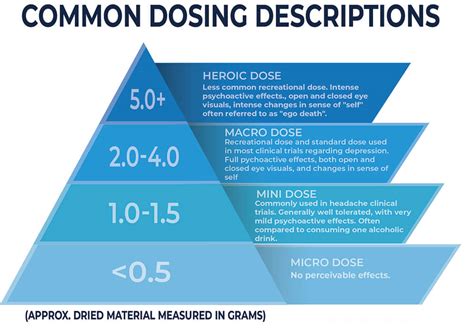 Magic Mushroom Dosing : r/ClusterHeadaches