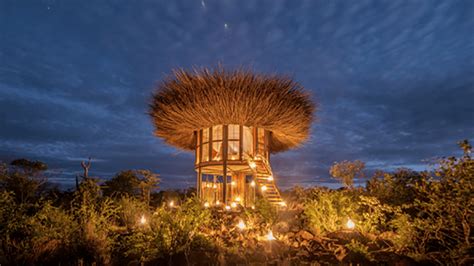 Bird Nest hotel sleeps Kenyan safari-goers above the treetops