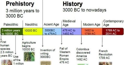 Paleolithic Timeline