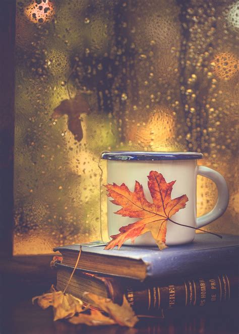 Cozy Autumn Cafe Window Wallpapers - Wallpaper Cave