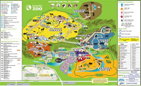 Toronto Zoo map