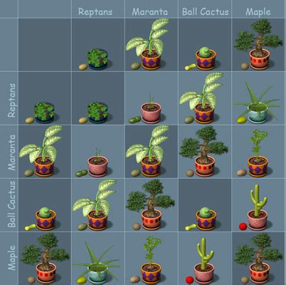 Plant Tycoon Seed Chart - systemretpa