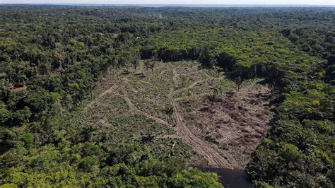 Amazon Rainforest: Highest deforestation rate in six years - BBC News