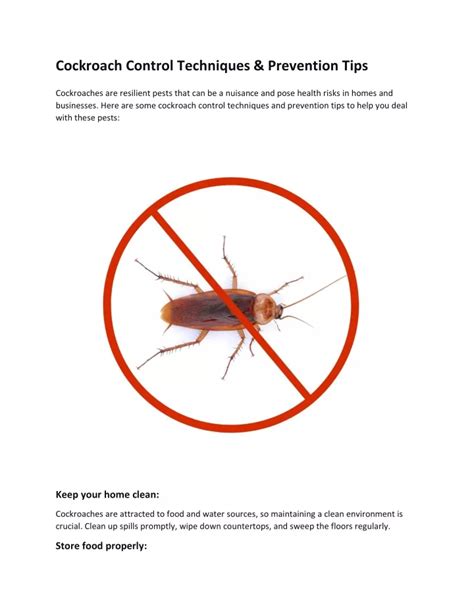 PPT - Cockroach Control Techniques & Prevention Tips PowerPoint ...