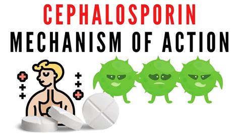 Cephalosporin explained | classification, mechanism of action - YouTube