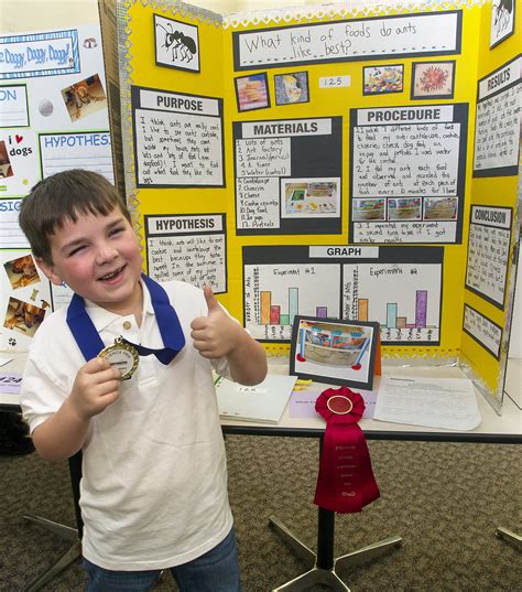 10 Ideal Winning Science Fair Project Ideas 2024