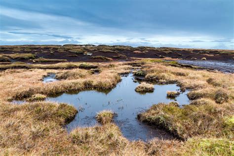 'Unleashed, mad and dangerous': How Britain's wild, romantic moorland ...