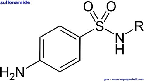 Sulfonamide : définition et explications